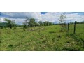 teren-de-vanzare-small-2