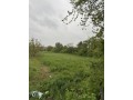 vand-teren-intravilan-in-suprafata-de-2200-mp-in-comuna-gostinu-judetul-giurgiu-small-1