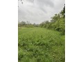 vand-teren-intravilan-in-suprafata-de-2200-mp-in-comuna-gostinu-judetul-giurgiu-small-2