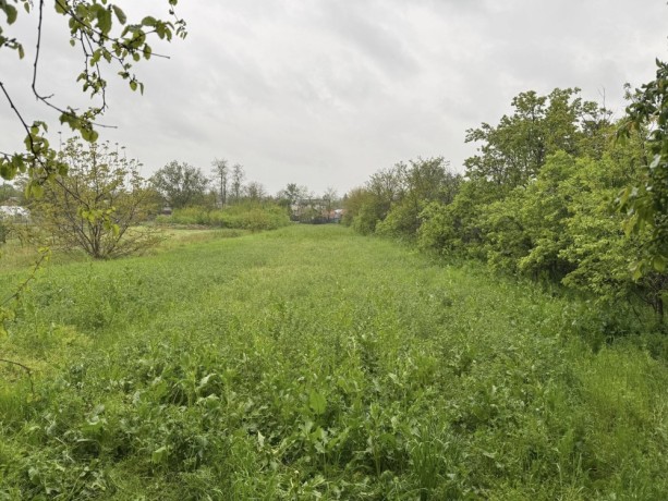 vand-teren-intravilan-in-suprafata-de-2200-mp-in-comuna-gostinu-judetul-giurgiu-big-3