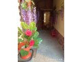 spatiu-comercial-small-2
