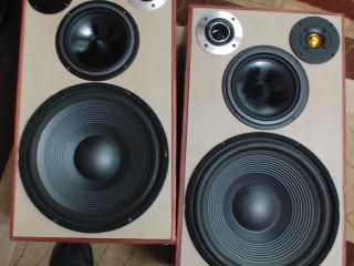vand-boxe-de-podea-home-made-2x150w-8-ohmi