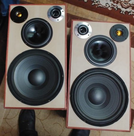 vand-boxe-de-podea-home-made-2x150w-8-ohmi-big-0