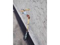 vand-urgent-casa-hanu-conachi-jud-galati-small-3