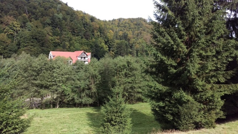 vand-teren-pentru-locuinta-casa-de-vacanta-in-timisul-de-jos-sacele-brasov-big-0