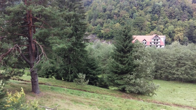 vand-teren-pentru-locuinta-casa-de-vacanta-in-timisul-de-jos-sacele-brasov-big-1