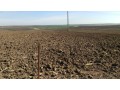 vand-teren-pentru-locuinta-casa-de-vacanta-in-botosani-small-0