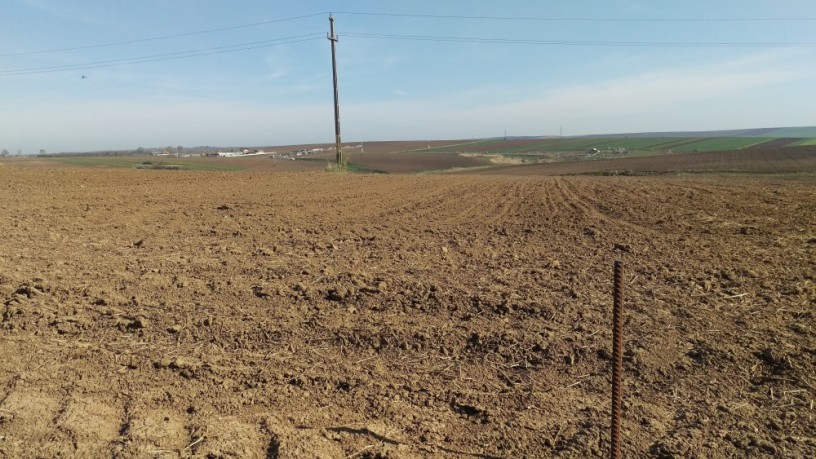 vand-teren-pentru-locuinta-casa-de-vacanta-in-botosani-big-1