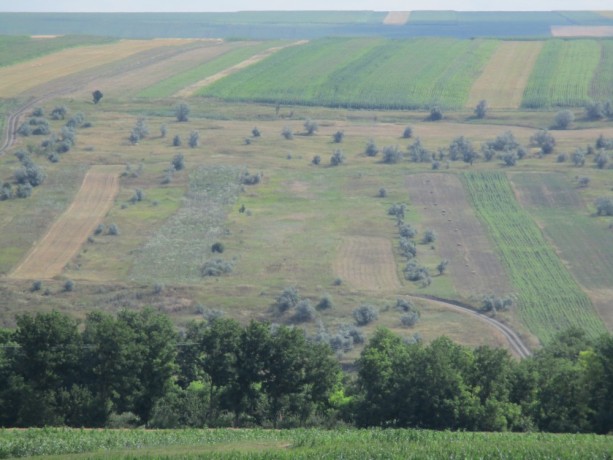 vand-1800-m2-teren-extravilan-unteni-botosani-big-0