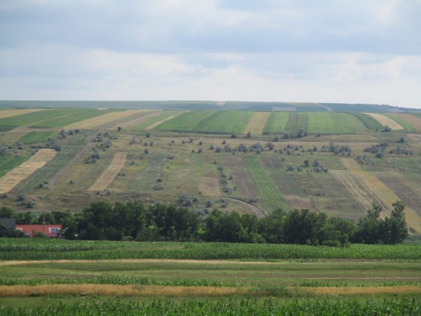 vand-1800-m2-teren-extravilan-unteni-botosani-big-1