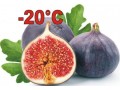 fragi-capsuni-mur-thornfree-zmeur-agris-tayberry-smochin-small-1