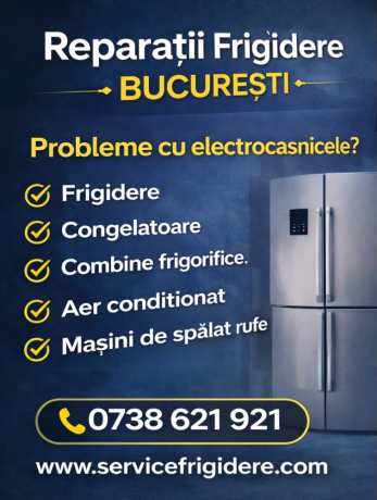 reparatii-frigidere-bucuresti-si-ilfov-service-frigider-rapid-la-domiciliu-big-4