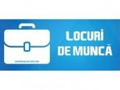 muncitori-strainatatediverse-domenii