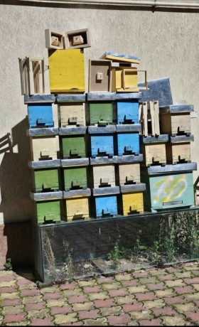 vand-nuclee-albine-big-0