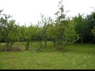 teren-intravilan-teisani-prahova