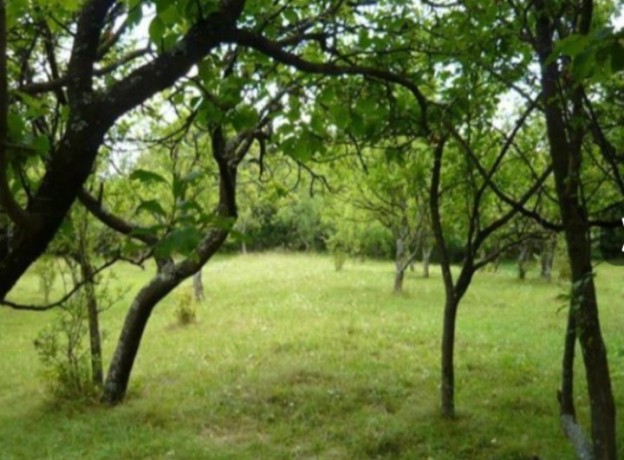 teren-intravilan-teisani-prahova-big-3