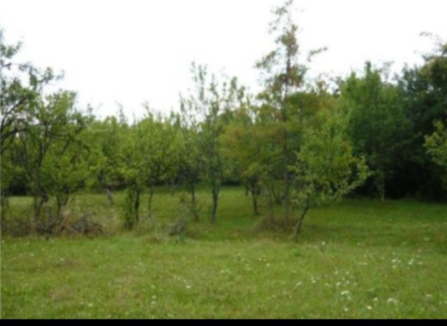 teren-intravilan-teisani-prahova-big-0