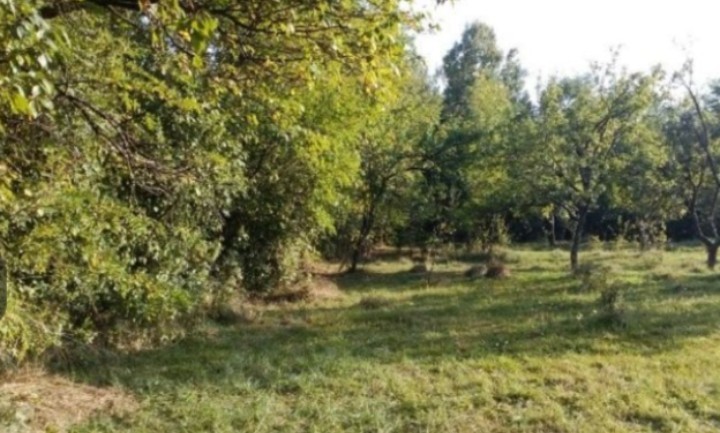 teren-intravilan-teisani-prahova-big-1