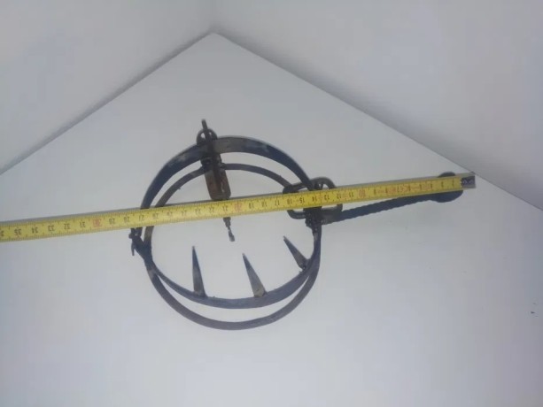 capcana-pentru-daunatori-big-1