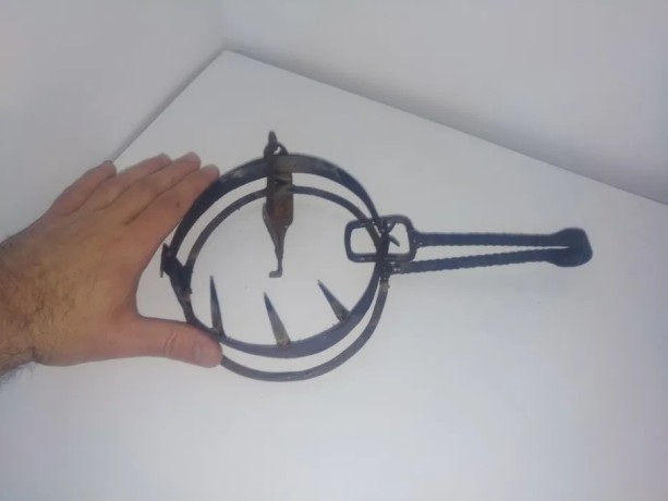 capcana-pentru-daunatori-big-2