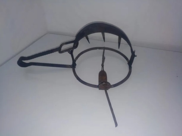 capcana-pentru-daunatori-big-3