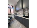 se-inchiriaza-apartament-cu-3-camere-complet-utilat-si-mobilat-in-bloc-nou-complex-nicol-residence-valea-adanca-small-3