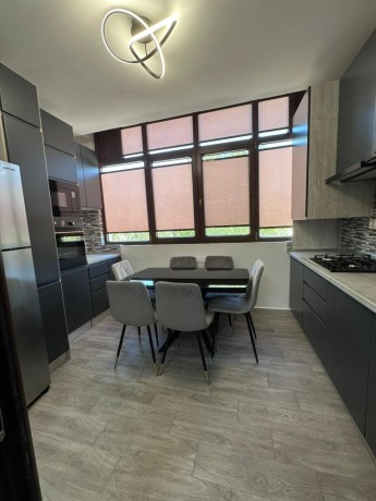se-inchiriaza-apartament-cu-3-camere-complet-utilat-si-mobilat-in-bloc-nou-complex-nicol-residence-valea-adanca-big-1