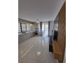 apartament-2-camere-intabulat-mobilat-si-utilat-complet-visan-bucium-small-1