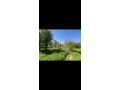 teren-4400-mp-gradinari-giurgiu-dubla-deschidere-small-1