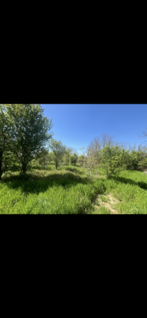 teren-4400-mp-gradinari-giurgiu-dubla-deschidere-big-1