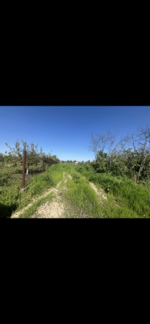 teren-4400-mp-gradinari-giurgiu-dubla-deschidere-big-2
